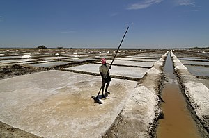 Коромандель джагъада тенгиз туз чыгъарыу