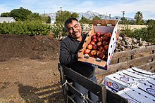 Waste fruits to be composted