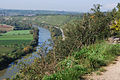 Deutsch: Blick von den Hessigheimer Felsengärten ins Neckartal. English: Nature reserve area Hessigheimer Felsengärten and a view over the Neckar valley, German Federal State Baden-Württemberg.