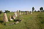 A view of several tombstones lined up side-by-side.