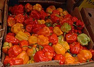 Πιπεριές τσίλι Scotch bonnet, σε μια αγορά της Καραϊβικής.