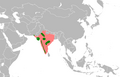 Distribution of the Lesser Floricon (Sypheotides indicus)