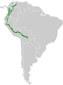 Map of South America, with green shading indicating that the species is present in the Andes