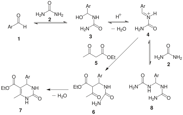 Biginelli反應機理 Kappe