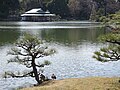 清澄庭園 Kiyosumi Teien