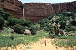 A view of a small, grassy field in front of a row of trees. A large ledge made of rock fills the background while a small waterfall emerges from the centre-left of its top.