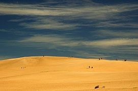 Sand dunes in Barra de Valizas beach, Cabo Polonio