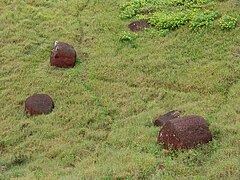 Sur les pentes du Puna Pau, des pukao (chapeaux) abandonnés.