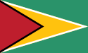 Flag of the Republic of Guyana ("The Golden Arrowhead")