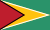 Bandeira da Guiana