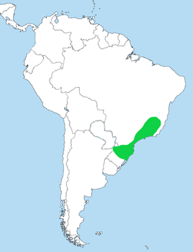 Distribución geográfica del tovacá colirrufo.