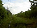 Русский: Платформа станции «Гагрыпшь». Вид с запада English: Platform of Gagrypsh station. View from the west