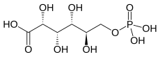 Formula rangka asid 6-fosfoglukonik