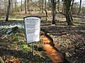 Eisenocker führende Quellen im östlichen Rombergpark