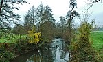 La Béthune à Mesnières-en-Bray