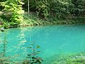 Blaubeuren Blautopf 2007b