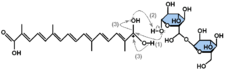 α–crocin formation mechanism