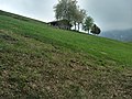 Monte Denai, fondo agricolo in località Gàs