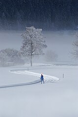 Achensee, Tirol