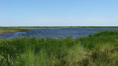 Верхів'я Утлюцького лиману