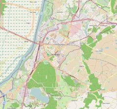 Mapa konturowa Grudziądza, u góry znajduje się punkt z opisem „Jaskinia pod Wierzbą”