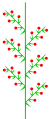 複總狀花序