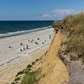 Das Rote Kliff auf der Nordseeinsel Sylt. (2014)