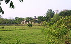 Old rice fields in El Desengaño