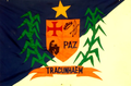 Bandeira de Tracunhaém