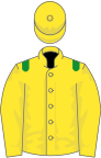 Yellow, green epaulets