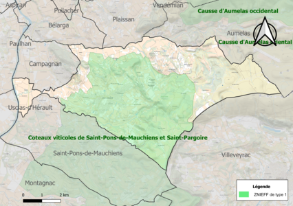 Carte de la ZNIEFF de type 1 sur la commune.