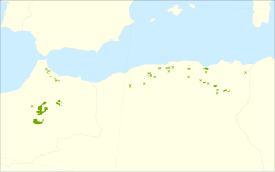 Distribución natural de Cedrus atlantica'.