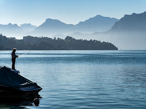 Angler at lake lucerne