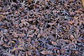 * Nomination Illicium verum (star aniseed), dried as a spice.--Jebulon 20:48, 20 August 2010 (UTC) * Promotion Good. --The High Fin Sperm Whale 21:40, 21 August 2010 (UTC)