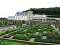 Les jardins du château de Villandry