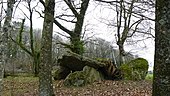 Allée couverte de Kergonfalz