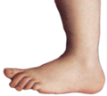 Monty python foot.png