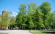 Blick in den Lundagård von Westen. Links der Turm des Kungshuset.