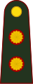 General de brigada (Argentine Army)[१]