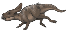 Protoceratops reconstruction.png