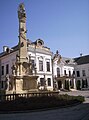 Statue of Holy Trinity and the Archbishop's Palace