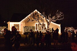 Lights on Peacock Lane