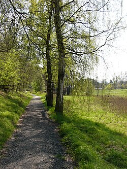 Weg bei Schwarzenbach an der Saale