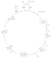 Vorschaubild der Version vom 02:45, 30. Jun. 2009