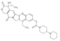 2006年6月21日 (三) 20:41版本的缩略图