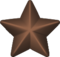 Bronze-service-star-3d.png 1674