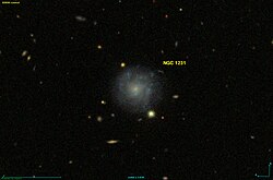 NGC 1231