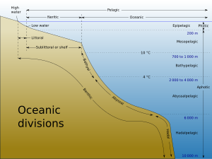 本図は、海岸線からの距離と水深によって分けられる大洋の区分を示す。