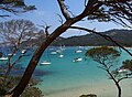 Plage de la Courtade (Porquerolles)