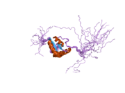 2dun: Solution structure of BRCT domain of DNA polymerase mu